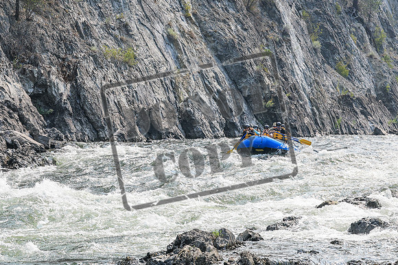 20260807-IMG_9676