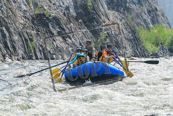 20260807-IMG_9717