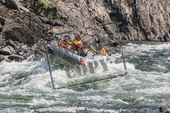 20260807-IMG_0519