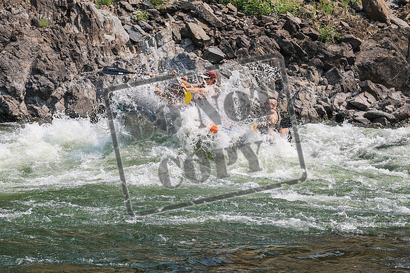 20260807-IMG_0524