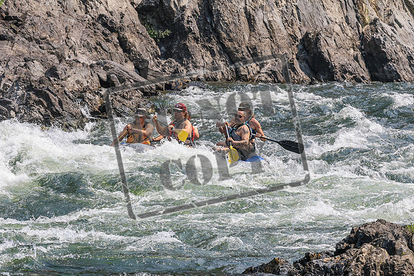 20260807-IMG_0517