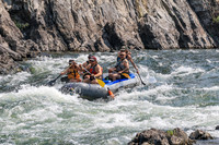 20260807-IMG_0515
