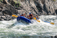 20260807-IMG_0070