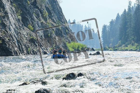 20260808-IMG_1856