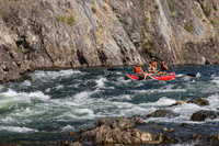 20260808-IMG_5921