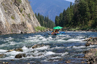 20260808-IMG_5769
