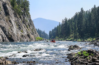 20260808-IMG_2940
