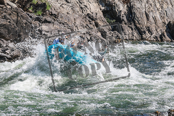 20260808-IMG_3151