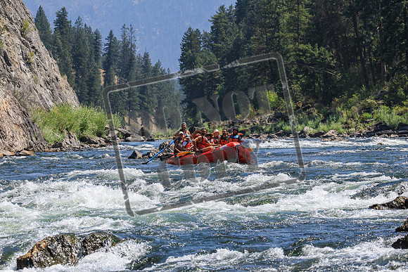 20260808-IMG_4563