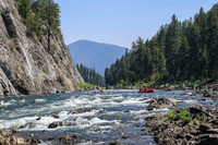 20260808-IMG_4561