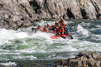 20260808-IMG_4571