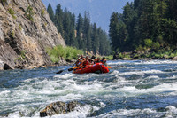 20260808-IMG_4565