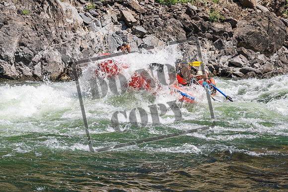20260808-IMG_4578