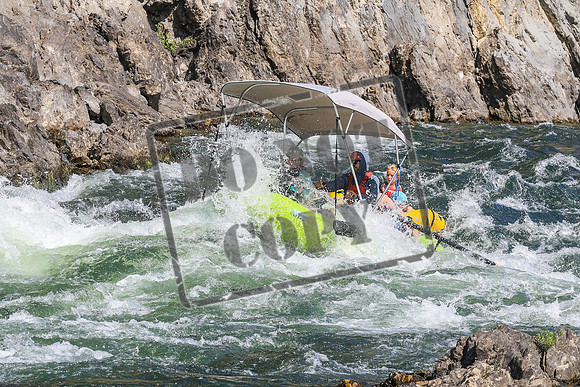 20260808-IMG_5831