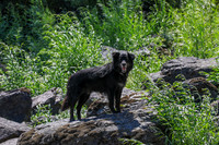 20260808-IMG_3999