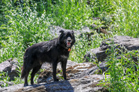20260808-IMG_4010