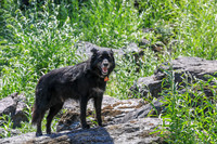 20260808-IMG_4011