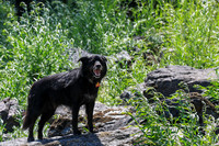 20260808-IMG_4004