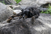 20260808-IMG_6075