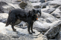 20260808-IMG_6036