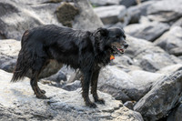 20260808-IMG_6037