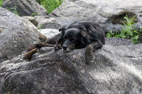 20260808-IMG_6076