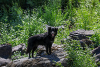 20260808-IMG_3997
