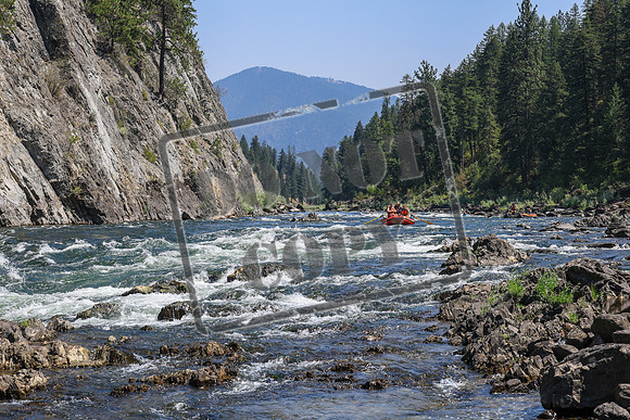 20260808-IMG_4610