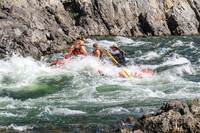 20260808-IMG_4619