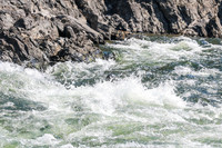 20260808-IMG_2436