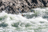 20260808-IMG_2437