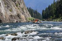 20260808-IMG_5292
