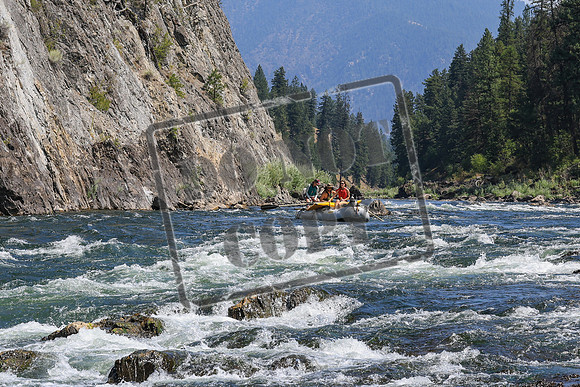 20260808-IMG_5292