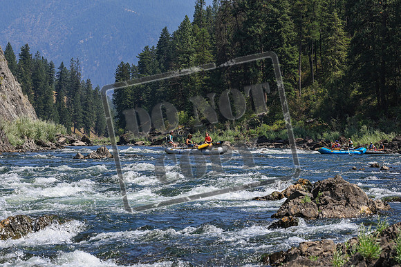20260808-IMG_5286