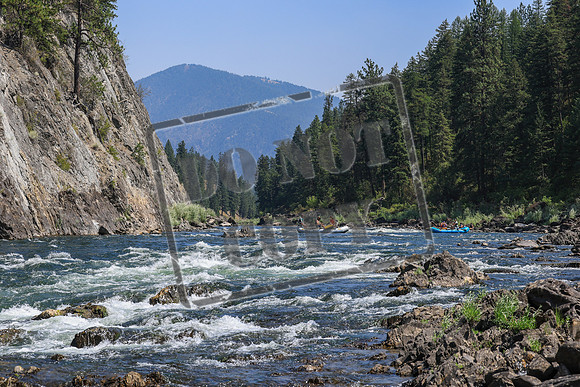 20260808-IMG_5285
