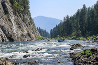 20260808-IMG_3230