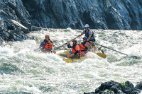20260808-IMG_1729