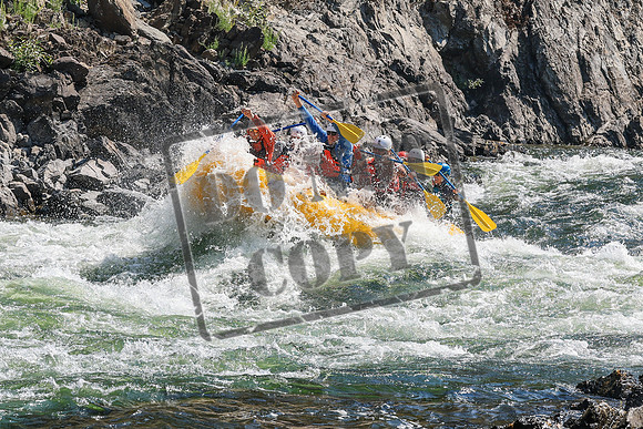 20260808-IMG_2378
