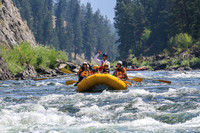 20260808-IMG_3261