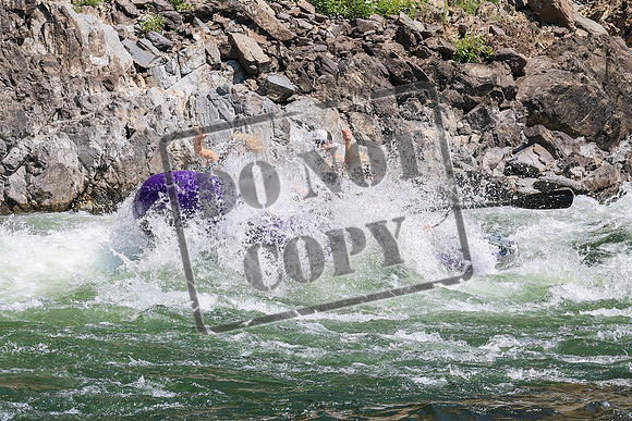 20260808-IMG_4785