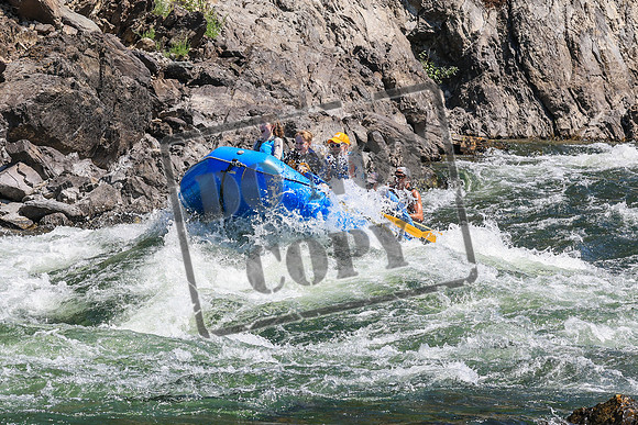 20260808-IMG_4187