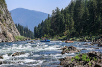 20260808-IMG_4458