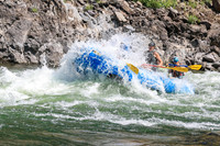 20260808-IMG_4494