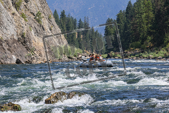 20260808-IMG_5618