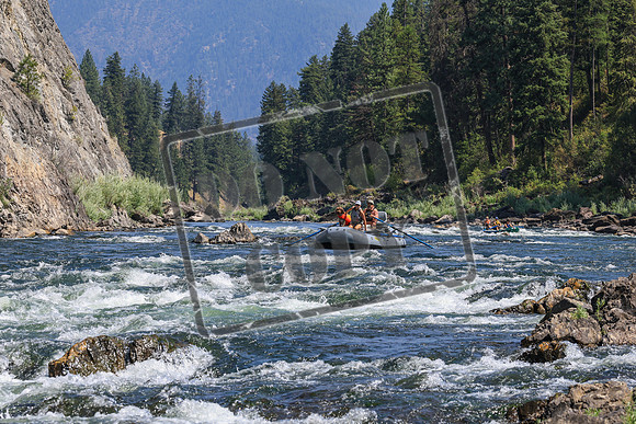 20260808-IMG_5616