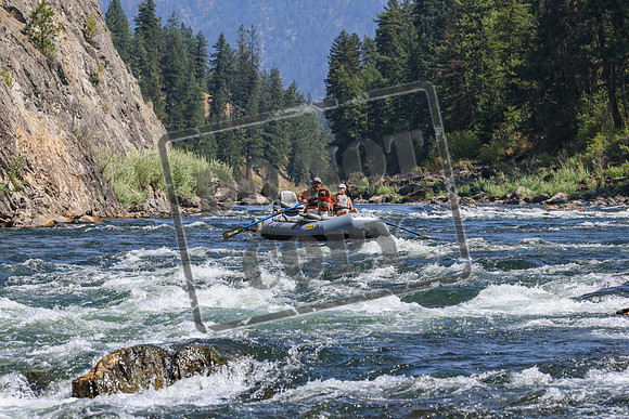 20260808-IMG_5617