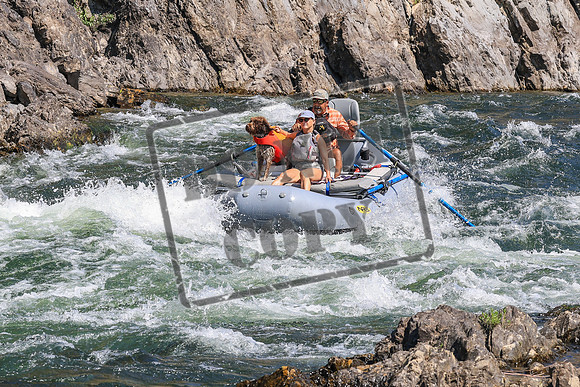 20260808-IMG_5628