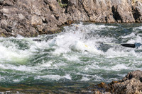 20260808-IMG_5659