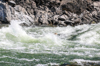 20260808-IMG_2904