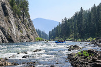 20260808-IMG_2911